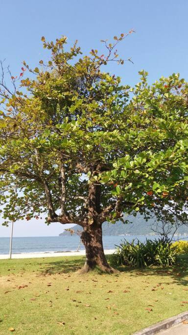Ubatuba, Descanso E Lazer Proximos A * Ubatuba
